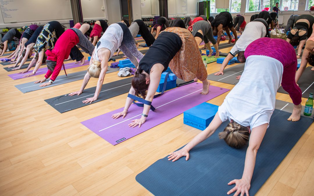 Yoga, Yoga, Yoga!